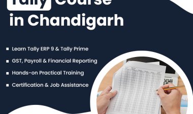 Build a Strong Career in Accounting and Financial Management