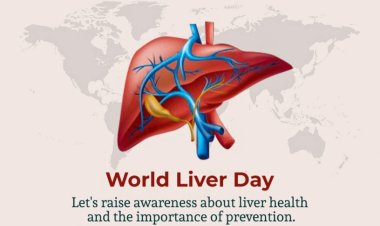 One in Three Urban Indians May Have Fatty Liver… Warning Signs as Early as 30: CARE Hospitals Alerts