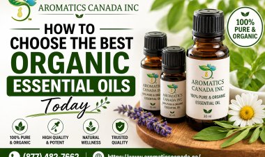 How to Choose the Best Organic Essential Oils Today