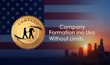 Rise of Borderless Businesses: Company Formation in USA Without Limits