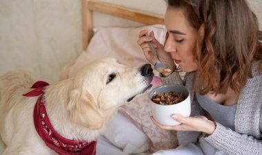 My Dog Has More Friends Than Me: The Rise of Pet Social Networking