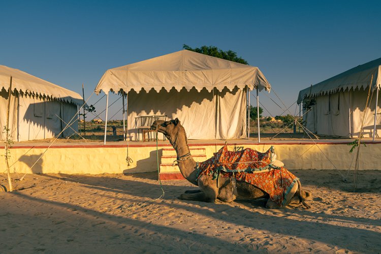 From Desert Safari to Luxury Camps: Best Jaisalmer Desert Camp Packages