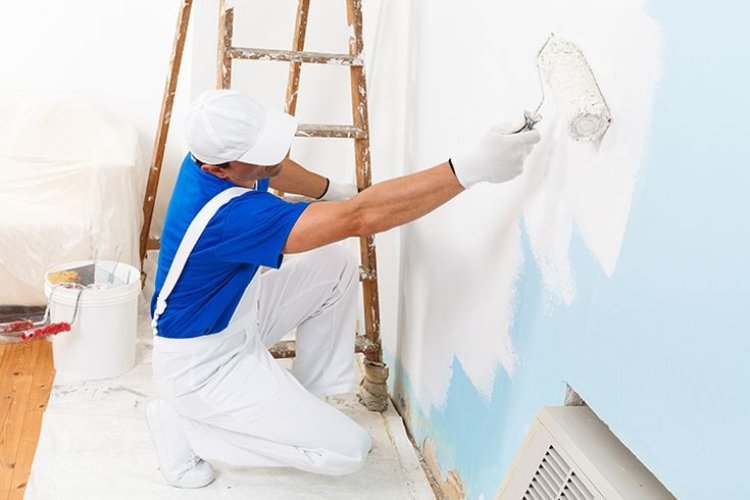 Westchase Painter for Home Renovation: Transform Your Living Spaces