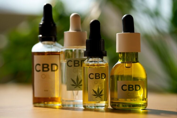 How CBD Edibles Work for Travelers Understanding Absorption