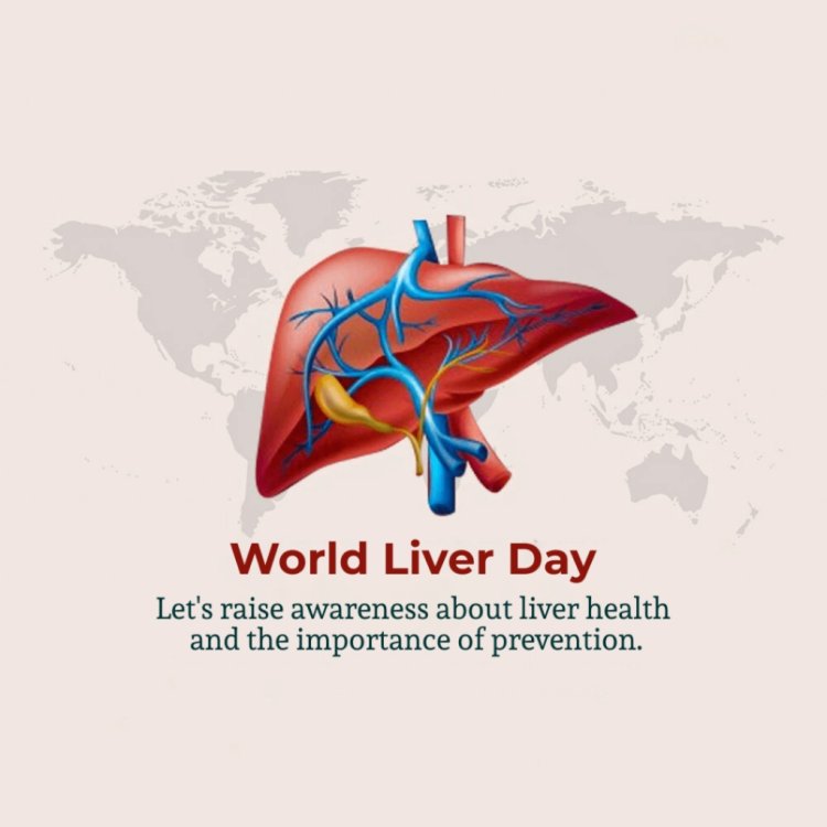 One in Three Urban Indians May Have Fatty Liver… Warning Signs as Early as 30: CARE Hospitals Alerts
