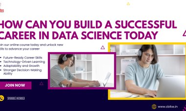 How Can You Build a Successful Career in Data Science Today