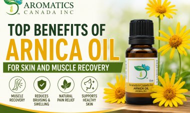 Top Benefits of Arnica Oil for Skin and Muscle Recovery