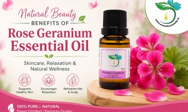 Natural Beauty Benefits of Rose Geranium Essential Oil