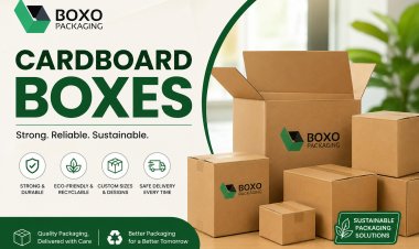 Cardboard Boxes for Safe, Efficient, and Professional Packaging