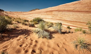 BLM Land Access Prescott AZ: The Perfect Base for Arizona Adventures