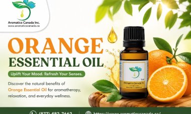 Why Choose Orange Essential Oil for Aromatherapy