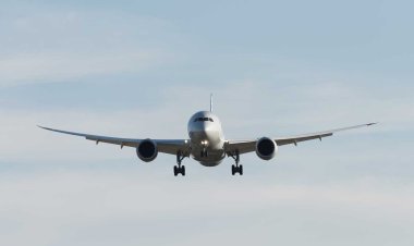 DFW Airport Departures: Your Complete Guide to Stress-Free Travel