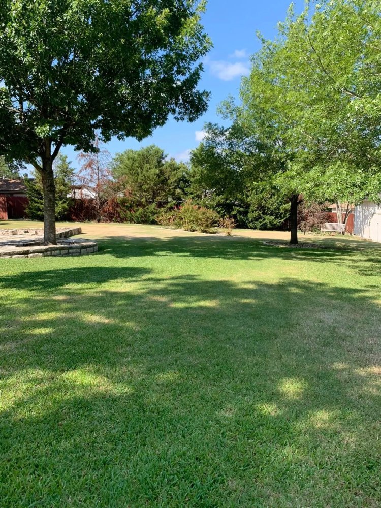 The Rooted Difference: Why Choosing Family-Owned Lawn Care Changes Everything