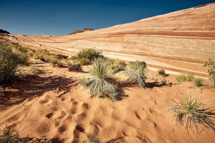 BLM Land Access Prescott AZ: The Perfect Base for Arizona Adventures