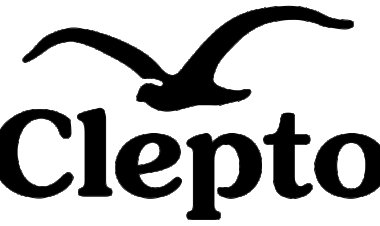 Fashion Inspiration Through Cleptomanicx Clothing Styles