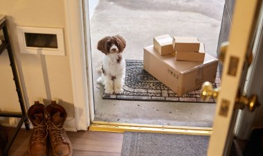 The Role of Customer Education in Reducing Returns for Pet Healthcare Products