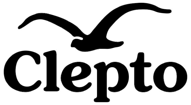 Fashion Inspiration Through Cleptomanicx Clothing Styles