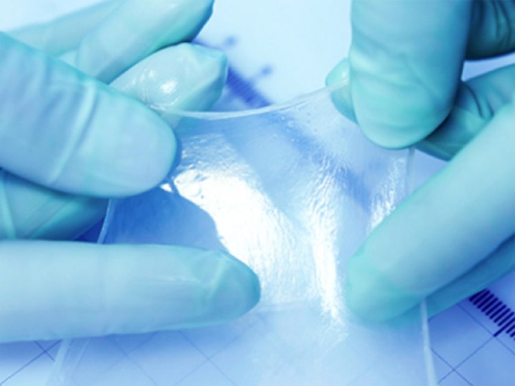 How Amniotic Membrane Products Are Advancing Modern Wound Care